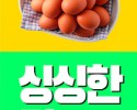정육점베너-계란