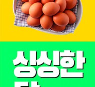 정육점베너-계란
